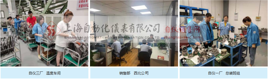 上海自動(dòng)化儀表有限公司銷(xiāo)售部和研控組