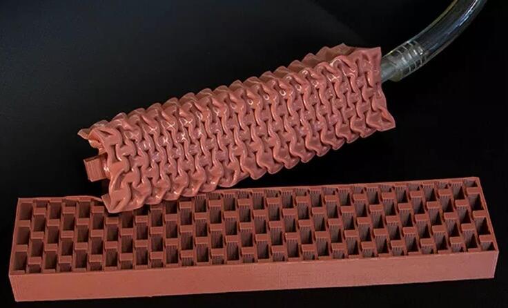 圖3 顯示了VAMP的橫截面。