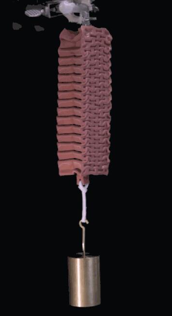 圖2  顯示鞋面舉重。